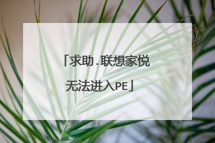 求助.联想家悦无法进入PE