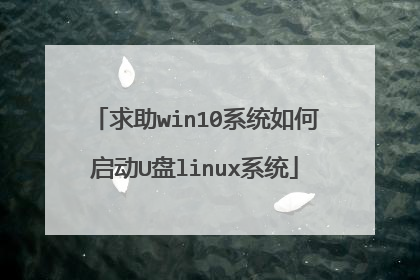 求助win10系统如何启动U盘linux系统