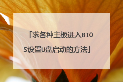求各种主板进入BIOS设置U盘启动的方法