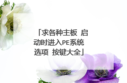 求各种主板 启动时进入PE系统选项 按键大全