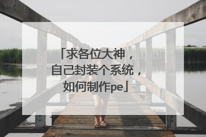 求各位大神, 自己封装个系统,如何制作pe