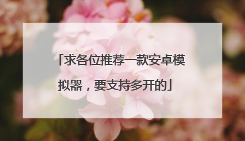 求各位推荐一款安卓模拟器，要支持多开的