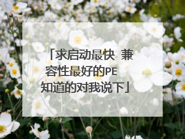 求启动最快 兼容性最好的PE 知道的对我说下