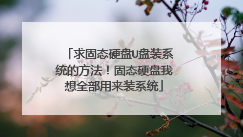 求固态硬盘U盘装系统的方法!固态硬盘我想全部用来装系统