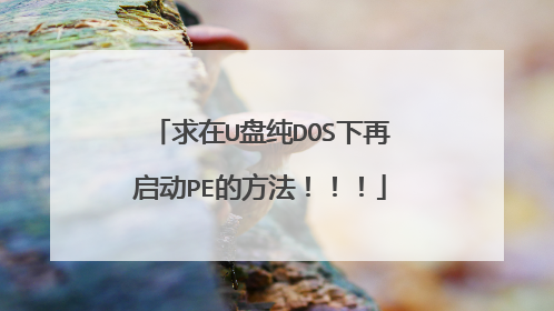 求在U盘纯DOS下再启动PE的方法!!!