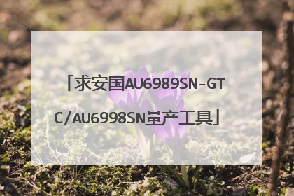 求安国AU6989SN-GTC/AU6998SN量产工具