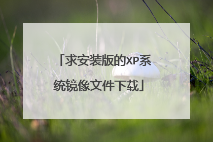 求安装版的XP系统镜像文件下载