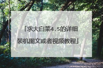 求大白菜4.5的详细装机图文或者视频教程