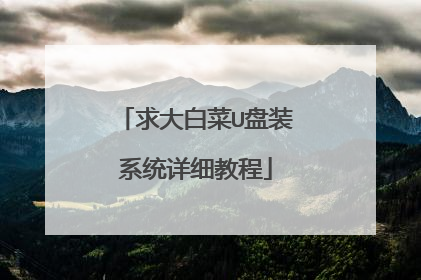 求大白菜U盘装系统详细教程