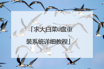 求大白菜U盘重装系统详细教程