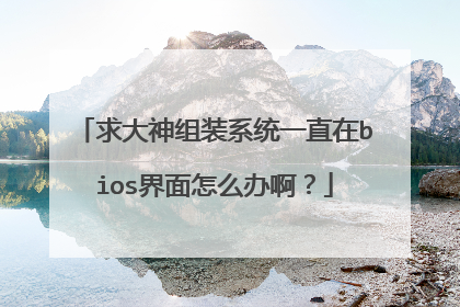 求大神组装系统一直在bios界面怎么办啊?