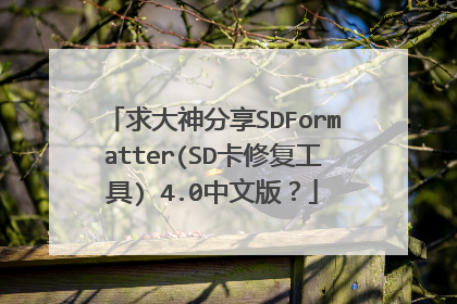 求大神分享SDFormatter(SD卡修复工具) 4.0中文版?
