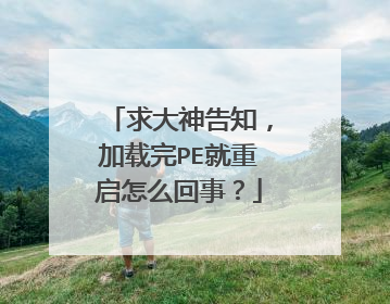 求大神告知，加载完PE就重启怎么回事？