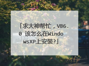 求大神帮忙，VB6.0 该怎么在WindowsXP上安装?