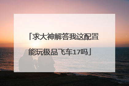 求大神解答我这配置能玩极品飞车17吗