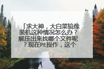 求大神,大白菜镜像装机这种情况怎么办?解压出来找哪个文件呢?现在PE操作,这个镜像是我自己下载的