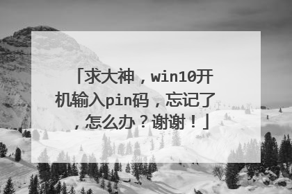 求大神,win10开机输入pin码,忘记了,怎么办?谢谢!