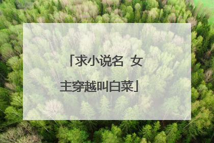 求小说名 女主穿越叫白菜