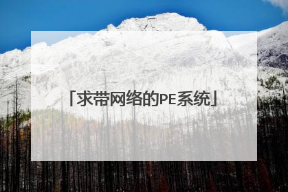 求带网络的PE系统