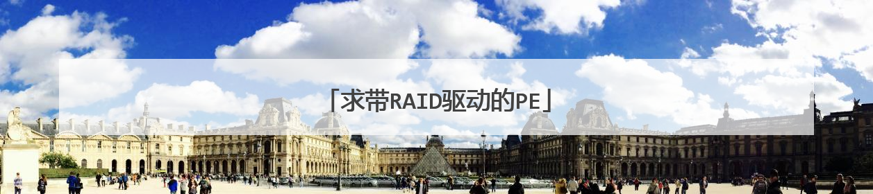 求带RAID驱动的PE