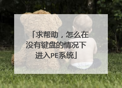 求帮助,怎么在没有键盘的情况下进入PE系统
