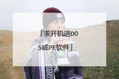 求开机进DOS或PE软件