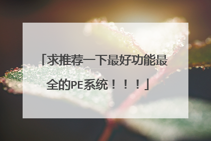 求推荐一下最好功能最全的PE系统!!!