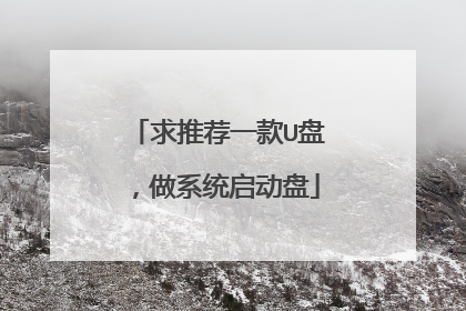 求推荐一款U盘,做系统启动盘