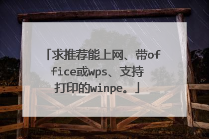 求推荐能上网、带office或wps、支持打印的winpe。