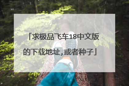 求极品飞车18中文版的下载地址,或者种子
