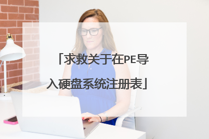 求救关于在PE导入硬盘系统注册表