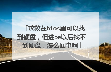 求救在bios里可以找到硬盘，但进pe以后找不到硬盘，怎么回事啊