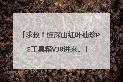 求救!懂深山红叶袖珍PE工具箱V30进来。