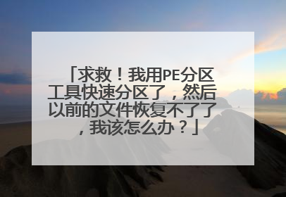 求救！我用PE分区工具快速分区了，然后以前的文件恢复不了了，我该怎么办？