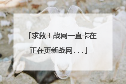 求救!战网一直卡在正在更新战网...
