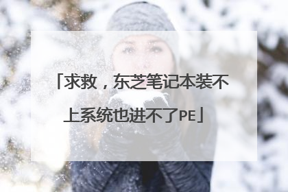 求救,东芝笔记本装不上系统也进不了PE
