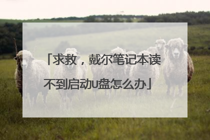 求救,戴尔笔记本读不到启动U盘怎么办