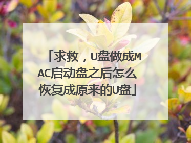 求救,U盘做成MAC启动盘之后怎么恢复成原来的U盘