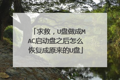 求救,U盘做成MAC启动盘之后怎么恢复成原来的U盘