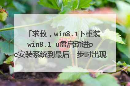 求救,win8.1下重装win8.1 u盘启动进pe安装系统到最后一步时出现dism.exe应用程