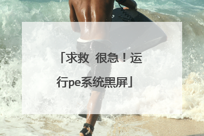 求救 很急!运行pe系统黑屏
