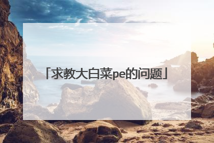 求教大白菜pe的问题