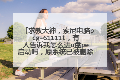 求教大神，索尼电脑pcg-61111t，有人告诉我怎么进u盘pe启动吗，原系统已被删除，进bois