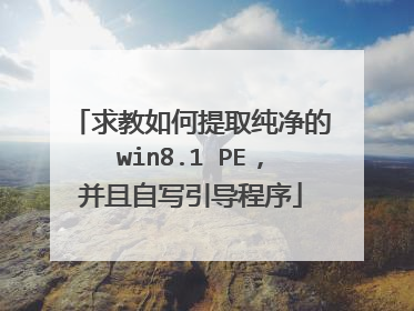 求教如何提取纯净的win8.1 PE，并且自写引导程序