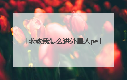 求教我怎么进外星人pe