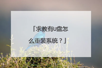 求教有U盘怎么重装系统？