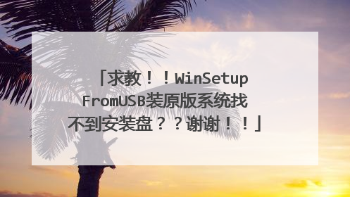 求教!!WinSetupFromUSB装原版系统找不到安装盘??谢谢!!