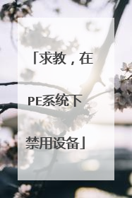 求教，在PE系统下禁用设备