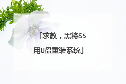 求教,黑将S5用U盘重装系统