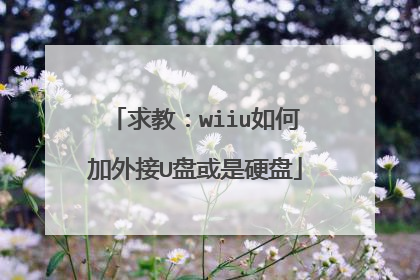 求教:wiiu如何加外接U盘或是硬盘